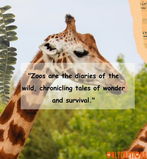 Quotes About The Zoo Zoo Quotes, Connect With Nature, Into The Wild, The Zoo, The Wild, Essence, Quotes, Nature