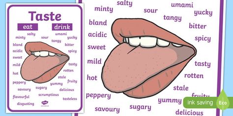 Taste Vocabulary Display Poster Taste Vocabulary, Vocabulary Display, Family Diversity, Life Themes, Taste Sense, Scientific Thinking, All About Me Activities, Spelling And Handwriting, About Me Activities