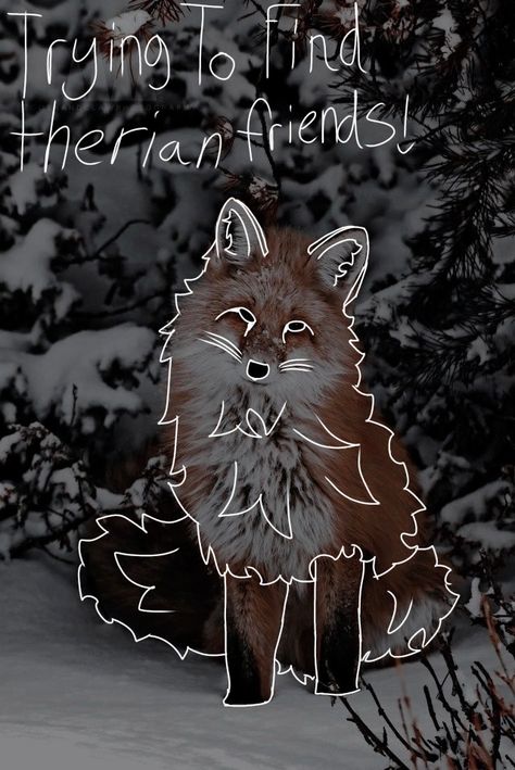 I’m trying to find therian friends! Felt Animal Masks, Maned Wolf, Fox Artwork, Baby Wolf, Looking For Friends, Maybe In Another Life, Red Wolf, Animal Masks, Black Wolf