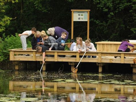 Grand opening for pond dipping platform Pond With Dock, Pond Reeds, Large Ponds Farm, Pond Dipping, Large Wildlife Pond, Wood Mill, Sustainable Community, Energy Companies, School Garden