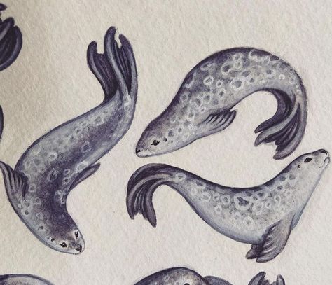 Cute Seal Tattoo, Selkie Aesthetics, Selkie Illustration, Selkie Character Design, Selkie Oc, Selkie Tattoo, Selkie Aesthetic, Seal In Water, Seal Aesthetic