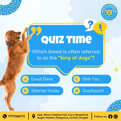 Calling all pet enthusiasts! 🐾 Can you guess which breed wears the crown as the 'king of dogs'? Share your paw-some answers below! 🐶👑 #PetQuiz #answer #questionforyou #guess #SpeakUpPetLovers #DogLovers #PamperedPups #dogs ofinstagram #puppies #pups #petsofinstagram #dogs #cats #catsofinstagram #petlovers #animal #love #puppies #dog #pup #pet #dogstagram #doglover #instadog #petshaveli #Punjab #petsinpunjab #India #petshaveli #pawsandmove Dog Content Ideas, Petshop Ideas, Birthday Wishes Best Friend, Pet Advertising, Dog Marketing, Pet Branding, Animal Love, Airplane Window, Dog Daycare