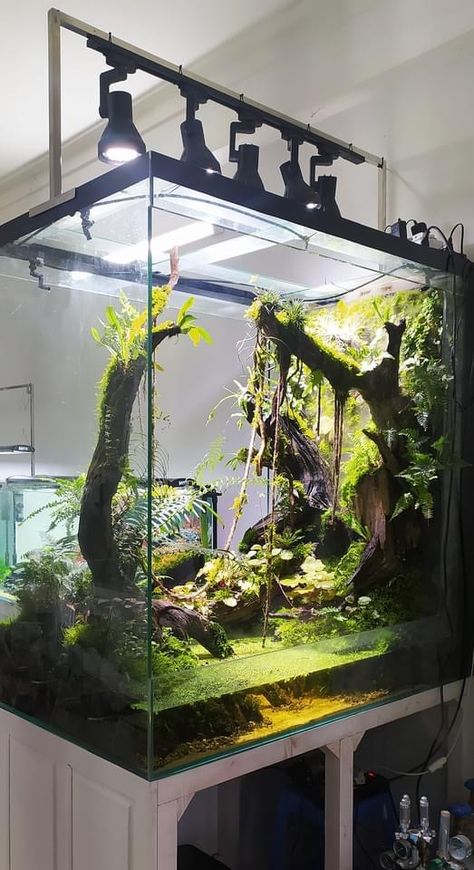 Ikea Paludarium, Paludarium Ideas Waterfalls, Vertical Vivarium, Paladarium Design, Tropical Vivarium, Paludarium Ideas, Lizard Habitat, Bioactive Vivarium, Water Terrarium