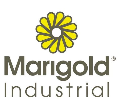 Marigold Logo Design, Marigold Logo, Display Design, Logo Design, Soap, Novelty Sign, ? Logo, Design, Logos