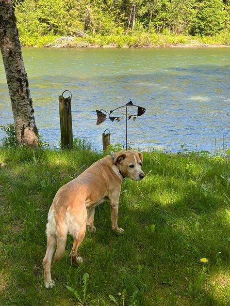 At the river ❤️ James River, May 11, The River, On Instagram, Quick Saves, Instagram