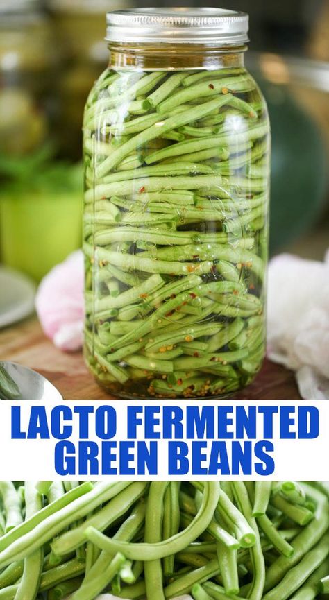 Fermented Green Beans Recipe, Preserve Green Beans, Preserving Green Beans, Fermented Green Beans, Fermented Vegetables Recipes, Growing Beans, Lacto Fermented, Freezing Vegetables, Fermented Veggies