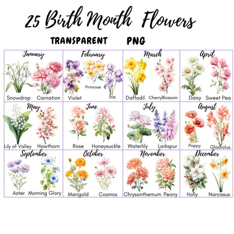 Birth Flowers By Month, Birthday Month Flowers, Fun Tattoo, April Birth Flower, Mom Tattoo, April Flowers, Birth Flower Tattoos, Floral Png, Flowers Clipart