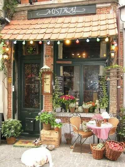 Bar Deco, Cafe Exterior, Bookstore Cafe, Book Cafe, Cute Cafe, Antwerp Belgium, Shop Fronts, Coffee Shop Design, Cafe Interior Design