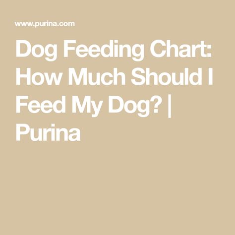 Puppy Feeding Schedule Chart, Dog Feeding Chart, Puppy Feeding Schedule, Dog Weight, Food Charts, Body Condition, Puppy Food, Ideal Weight, Ideal Body