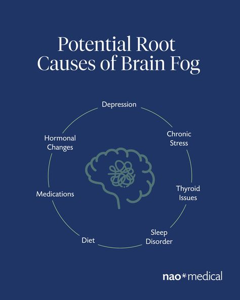 Brain Fog Remedies, Foggy Mind, Thyroid Medication, Poor Nutrition, You're Not Alone, Brain Fog, Brain Health, Brain, Nutrition