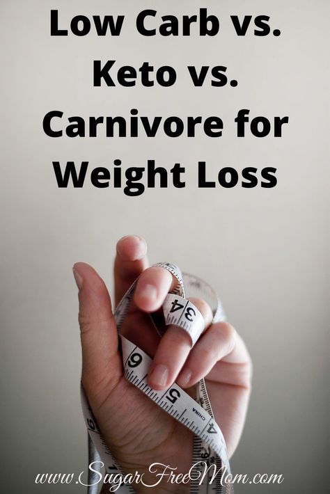 Keto Vs Low Carb, Paleo Vs Keto, Fitness Armband, Carnivore Diet, How To Eat Less, Losing 10 Pounds, Hiit Workout, Keto Diet, Cardio