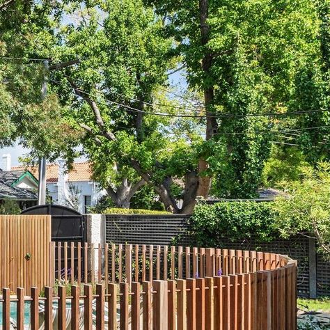 We’ve often admired this epic curved timber batten fence, but the curves for this project weren’t limited to the pool and pool fence.... | Instagram Landscape Timber Fence, Timber Batten Fence, Entrance Fence, Batten Fence, Low Fence, Landscape Timbers, Yard Area, Timber Battens, Timber Fencing