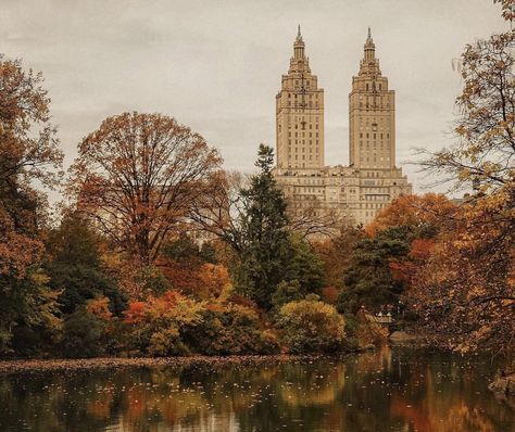 Central Park Fall, Nyc Central Park, Brown Nature, Autumn Girl, Nyc Manhattan, Golden Leaves, Autumn Aesthetic, Girl Falling, Central Park