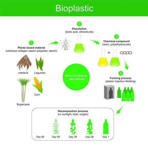 The Need for Hemp Bioplastics | National Hemp Association Bug Out Binder, Plastic Pollution Facts, Bio Project, Grade 5 Science, Medical Packaging, Environmentally Friendly Living, Save Our Earth, Reusable Packaging, Cellulose Fiber