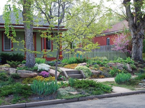 Extend your landscaping all the way to the street with these pro tips. No Mow Yard, No Grass Front Yard, Grass Front Yard, Xeriscape Ideas, Small Front Yards, Front Yard Inspiration, Grass Alternative, Front Yard Flowers, Yard Makeover