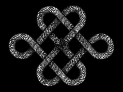 Knot Illustration, Celtic Snake, Ornaments Tattoo, Endless Knot, Knot Tattoo, 2024 Olympics, Snake Art, Urban Fabric, Snake Tattoo