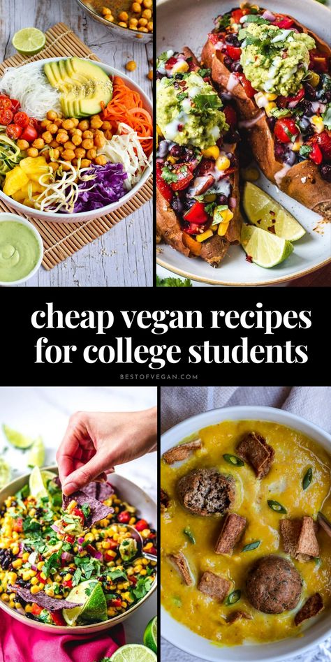 Looking for budget-friendly and scrumptious vegan recipes tailored for college students? We've got you covered! 🍲 Dive into our collection of 13+ Easy and Cheap Vegan Recipes, and make your taste buds dance! 💃 Get the recipes now and elevate your vegan game! ✨ Vegan Recipes For College Students, Vegan Meals When Sick, Cheapest Vegan Meals, Vegan Budget Recipes, Budget Vegan Recipes, Vegan Student Recipes, Easy Vegan Lunch Recipes, Vegan Batch Cooking Recipes, Basic Vegan Meals