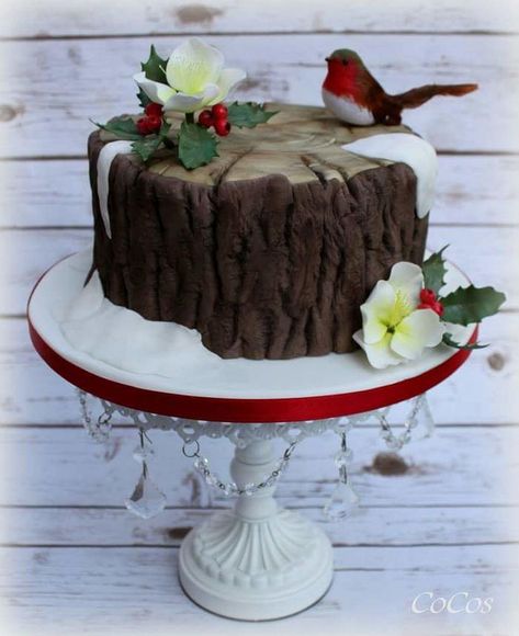 Cake Decorating Ideas Christmas, Robin Cake, Christmas Cake Decorating Ideas, Christmas Cake Decorating, Decorating Ideas Christmas, Treats Christmas, Christmas Cake Designs, Christmas Cake Decorations, Cake Decorating Ideas