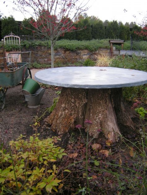 We have a very large tree on our property that we'd like to take out, I'd love to put a concrete top on it! Tree Stump Ideas Outdoor, Tree Stump Ideas, Stump Ideas, Tree Stump Table, Large Backyard Landscaping, Stump Table, Tree Table, Large Tree, Large Backyard