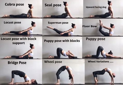 Back flexibility stretches Back Flexibility Stretches, Cer Nocturn, Back Flexibility, Stretches For Flexibility, Yoga Beginners, Dancer Workout, Sup Yoga, Yoga Iyengar, Yoga Help