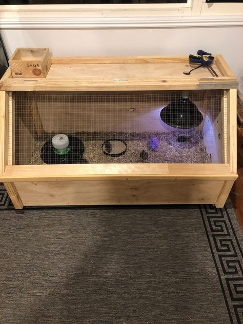 Quail Brooder Diy, Indoor Quail Coop, Brooder Box Ideas, Quail Brooder, Brooder Ideas, Quail Hutch, Lifestyle Block, Button Quail, Animal Farming