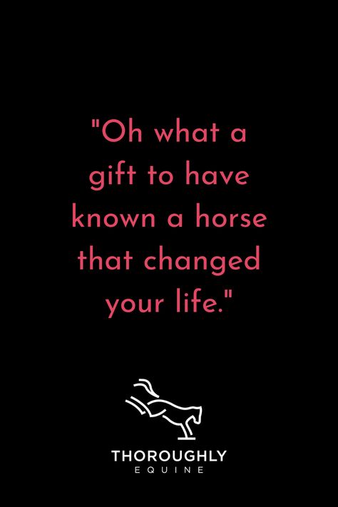 A pink quote on a solid black background. The quote reads "Oh what a gift to have known a horse that changed your life." There is a white Thoroughly Equine logo at the bottom of the image with a simple outline of a bucking horse. Horse Life Quotes, Equestrian Life Quotes, Heart Horse Quote, Equine Therapy Quotes, Equestrian Quotes Inspirational, Horse Quotes Meaningful Short, Horse Quotes Meaningful, Horse Girl Quotes, Quotes About Horses