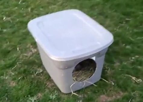 using a plastic tote box as a duck nesting area Duck Nesting Boxes Diy, Duck Nesting Box Ideas, Homestead Ducks, Duck Housing, Duck Nesting, Duckling Care, Duck Pet, Chicken Nest, Duck Ideas