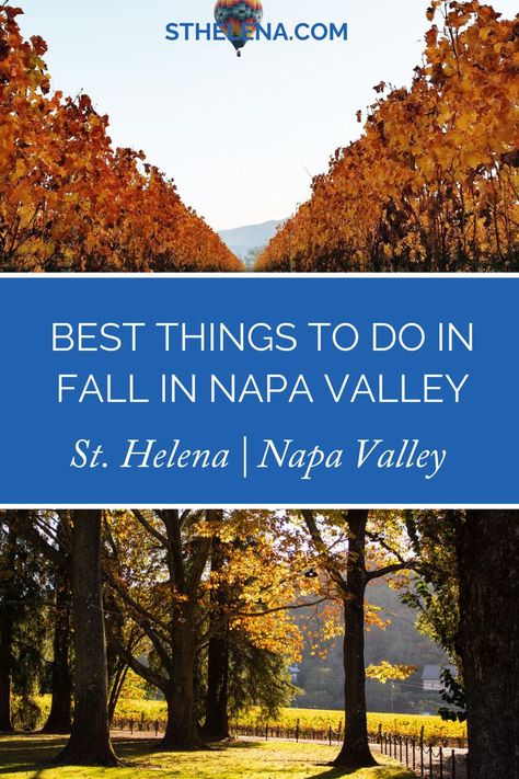 For the best things to do in Napa when visiting in Fall, check out this guide to our favorite harvest secrets and activities not to miss out on.  From the best wineries to visit to one-of-a-kind Napa experiences.  Save this guide for trip planning your next Napa vacation. Things To Do In Napa, Napa Wineries, Wine Travel, St Helena, Fall Favorites, Napa Valley, Wine Country, Wine Tasting, To Miss