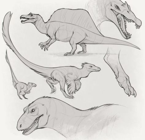 Jurassic Park Dinosaurs, Dino Drawing, Dinosaur Sketch, Dinosaur Images, Dinosaur Drawing, Draw Animals, Jurassic World Dinosaurs, Ancient Animals, Prehistoric Art