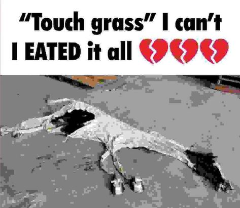 Touch Grass I Cant, I Eated It All, I Cant, Twitter, White