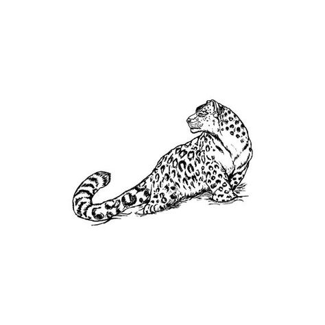 Snow Leopard Illustration, Snow Leopard Drawing, Snow Leopard Tattoo, Blackpink Photocards, Leopard Drawing, Leopard Tattoo, Scandinavian Tattoo, Leopard Tattoos, Pet Logo