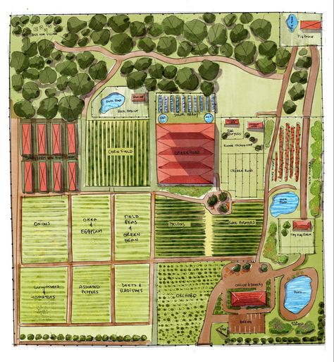 Farm Layout Drawing, Farm Blueprints, Small Farm Plans Layout Design, Farm Design Layout, Community Garden Layout, Farm Resort Design Plan Layout, Farm Layouts, Farm Layout Ideas, Farm Planning