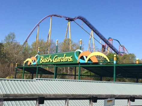 Busch Gardens Williamsburg, VA park entrance sign. photo by Joshua at TheFunTimesGuide.com Busch Gardens Halloween, Busch Gardens Virginia, Busch Gardens Aesthetic, Busch Gardens Williamsburg Aesthetic, Bush Gardens Williamsburg, Bush Gardens Williamsburg Virginia, Busch Gardens Christmas Town, Roller Coaster Park, Big School