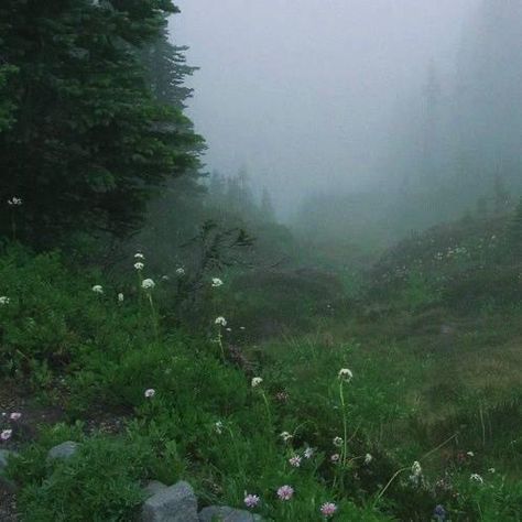 Wet Forest Aesthetic, Esther Core Aesthetic, Alyssacore Aesthetic, Esther Core, Foggy Woods, Dark Forest Aesthetic, Dark Fairycore, Foggy Forest, Fairy Aesthetic