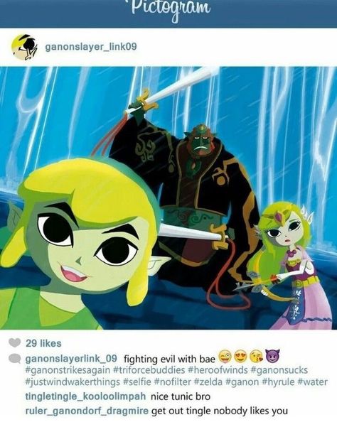 Legend Of Zelda Memes, Princesa Zelda, Zelda Funny, The Wind Waker, Toro Inoue, Final Boss, Hyrule Warriors, A Better You, Link Zelda