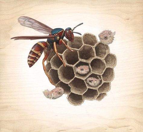 Tiffany Bozic Surealism Art, Bees And Wasps, Call Art, Deviant Art, Scientific Illustration, Diy Prints, Nature Paintings, Patterns In Nature, Botanical Illustration