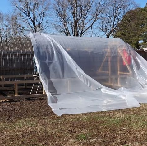 Couple shows how to build beautiful but simple greenhouse using cattle panels Diy Cattle Panel Greenhouse, Cow Panel Greenhouse, Cattle Panel Greenhouse Plans, Cattle Panel Greenhouse, Hoop Greenhouse, Raised Container Garden, Campsite Ideas, Simple Greenhouse, High Tunnel