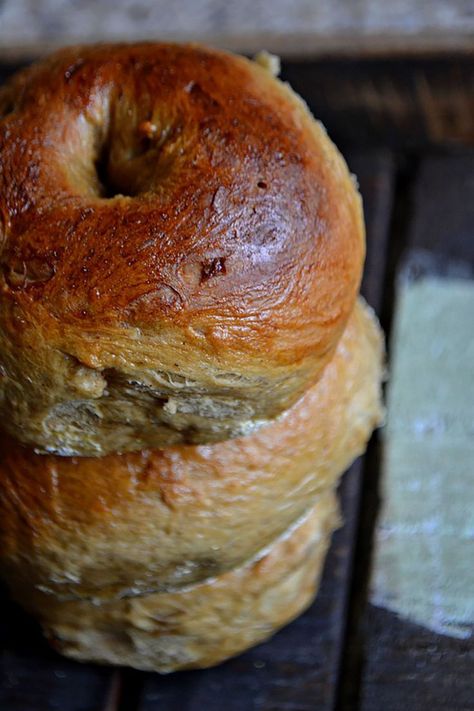 Gingerbread Bagels | #bagel Gingerbread Bagels, Red Star Yeast, Homemade Bagels, Bagel Recipe, Bread Roll, Bread Rolls, Red Star, Quick Bread, Pretzels