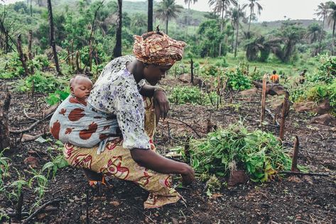 What Is Subsistence Farming? - Earthpedia - Earth.com Save Soil, Unmarried Couples, Infant Development, Mosquito Repelling, Gardening In Containers, African Cities, Catholic Doctrine, Assisted Reproductive Technology, Surrogate Mother