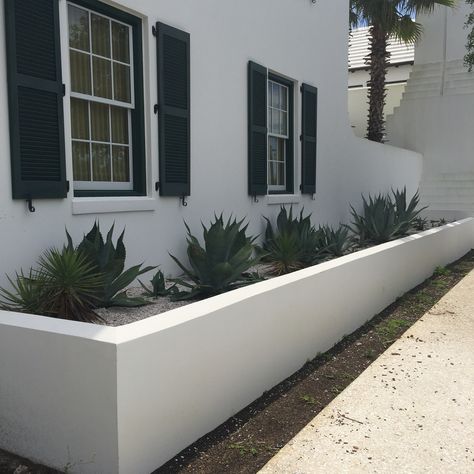 Stucco planter Stucco Flower Bed, Stucco House Landscaping Ideas, Stucco Outdoor Wall, Stucco Retaining Wall Ideas, Diy Stucco Exterior Walls, White Stucco House Landscaping, Stucco Planter Boxes, Diy Stucco Planter, White Stucco Retaining Wall