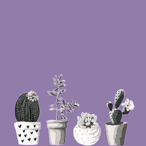 Purple Boho Aesthetic, Cactus Bedroom, Cactus Doodle, Cactus Vector, Cactus Types, Cactus Diy, Watercolor Cactus, Boho Aesthetic, Black And White Aesthetic