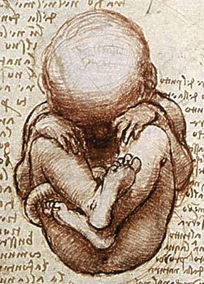 Amazing Da Vinci Drawings of a Fetus in the Womb A Drawing, Art History, Anatomy, Painter, Sketch Book, Art Inspiration, Art Drawings, Sculpture, Fine Art