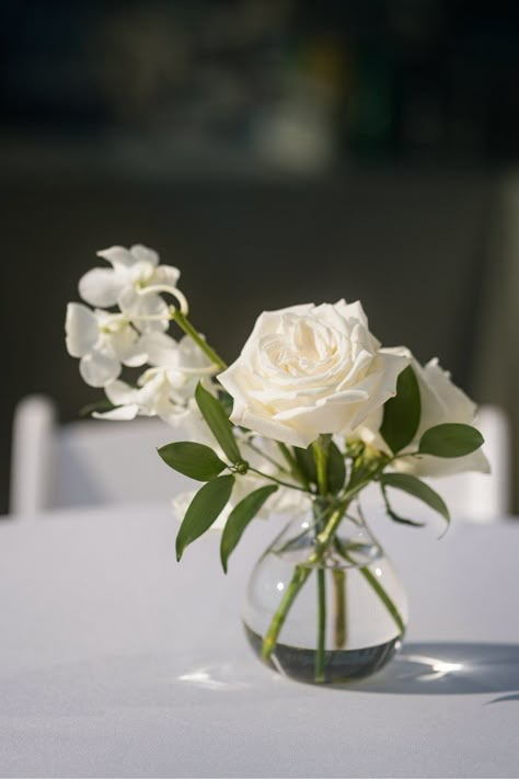 Timeless, Elegant Wedding at the Adler Planetarium — Romee Willow Florals Peonies Wedding Centerpieces Simple, Rustic White Flower Centerpieces, Small White Arrangement, Cocktail Hour Centerpieces Simple, Single White Rose Centerpiece Wedding, White Rose Centerpiece Simple, Simple Wedding Floral Arrangements, White Roses In Bud Vases, White Small Centerpieces