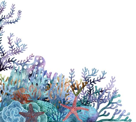 Corals Drawings, Coral Reef Drawing Easy, Watercolor Coral Reef, Coral Reef Drawing, Coral Drawing, Coral Painting, Drawing Easy Step By Step, Under Ocean, Intro To Art