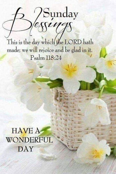 Blessed Sunday Quotes, Blessed Sunday Morning, Happy Sunday Images, Sunday Messages, Sunday Prayer, Happy Sunday Morning, Sunday Morning Quotes, Sunday Greetings, Have A Blessed Sunday