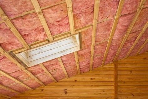 Science for Students: What Makes a Good Insulator? - FamilyEducation Crawl Space Insulation, Cellulose Insulation, Mike Holmes, Installing Insulation, Spray Insulation, Ceiling Insulation, Roof Insulation, Attic Insulation, Fiberglass Insulation