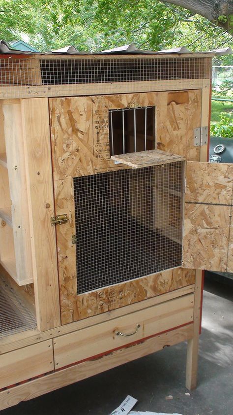 DSC01066 | Pogohawk | Flickr Diy Parakeet Cage, Pigeon Feed, Pigeon Coop, Racing Pigeon Lofts, Pigeon Loft Design, Loft Plans, Pigeons For Sale, Home Depot Shed, Pigeon Cage