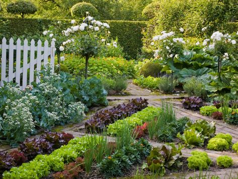 Edible Landscape Inspiration - The Restful Home Edible Landscape, Kitchen Gardens, Edible Gardens, Potager Garden, Edible Landscaping, Veg Garden, Have Inspiration, Homestead Survival, Vegetable Gardens