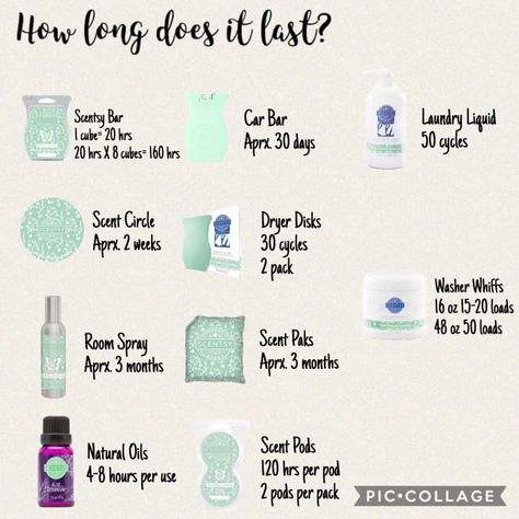 How Long Do Scentsy Products Last, Scentsy How Long Does It Last, Scentsy Cleaning Products, Last Note, Scentsy Products, Car Bar, Scentsy Consultant Ideas, Scented Wax Warmer, Scentsy Business