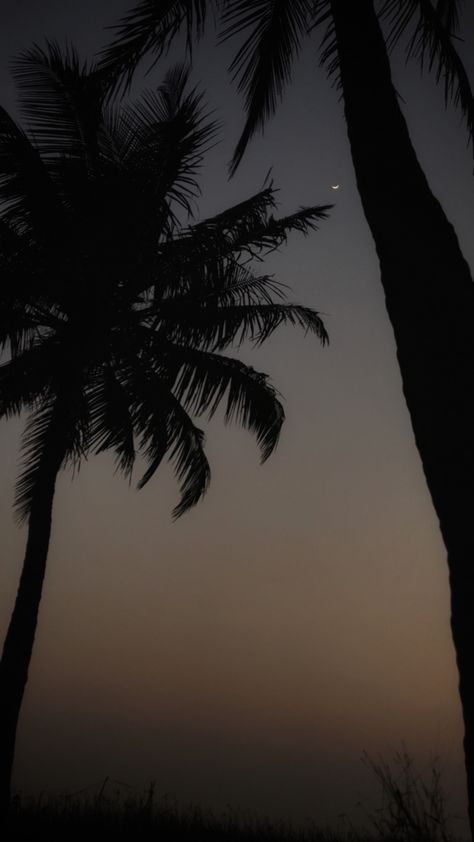 Dark Tropical Aesthetic, Sunset Sky Photography, Dark Forest Aesthetic, Snapchat Picture, Dark Phone Wallpapers, Landscape Photography Nature, Wallpaper Nature Flowers, Dark Pictures, Beach Wallpaper